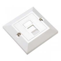 Faceplate Bevelled Unshielded Cat 5E Loaded with 2xRJ45 Modules