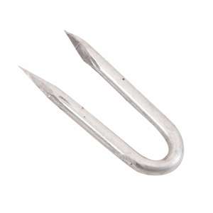 Staples Galvanised 65mm