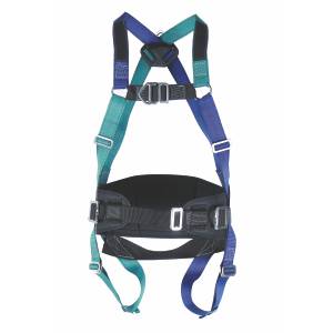 Safety Harness