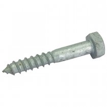 1/21: Lag bolt TH12x80mm