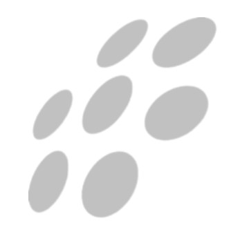 Paint Marking Aerosol Permanent Blue 750ml